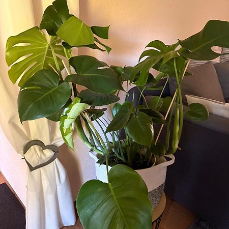 Apartment Dietze Machern Екстер'єр фото
