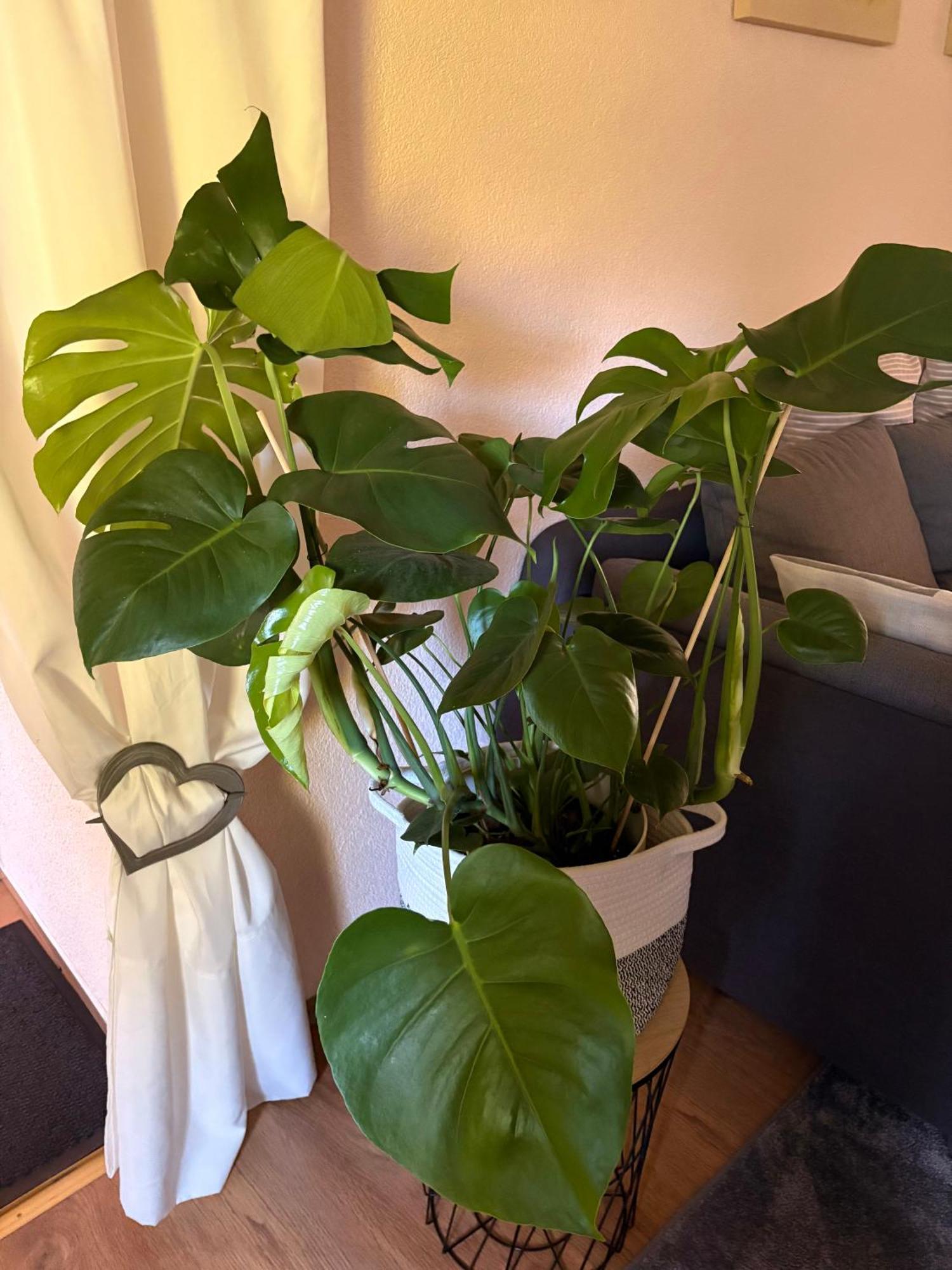 Apartment Dietze Machern Екстер'єр фото